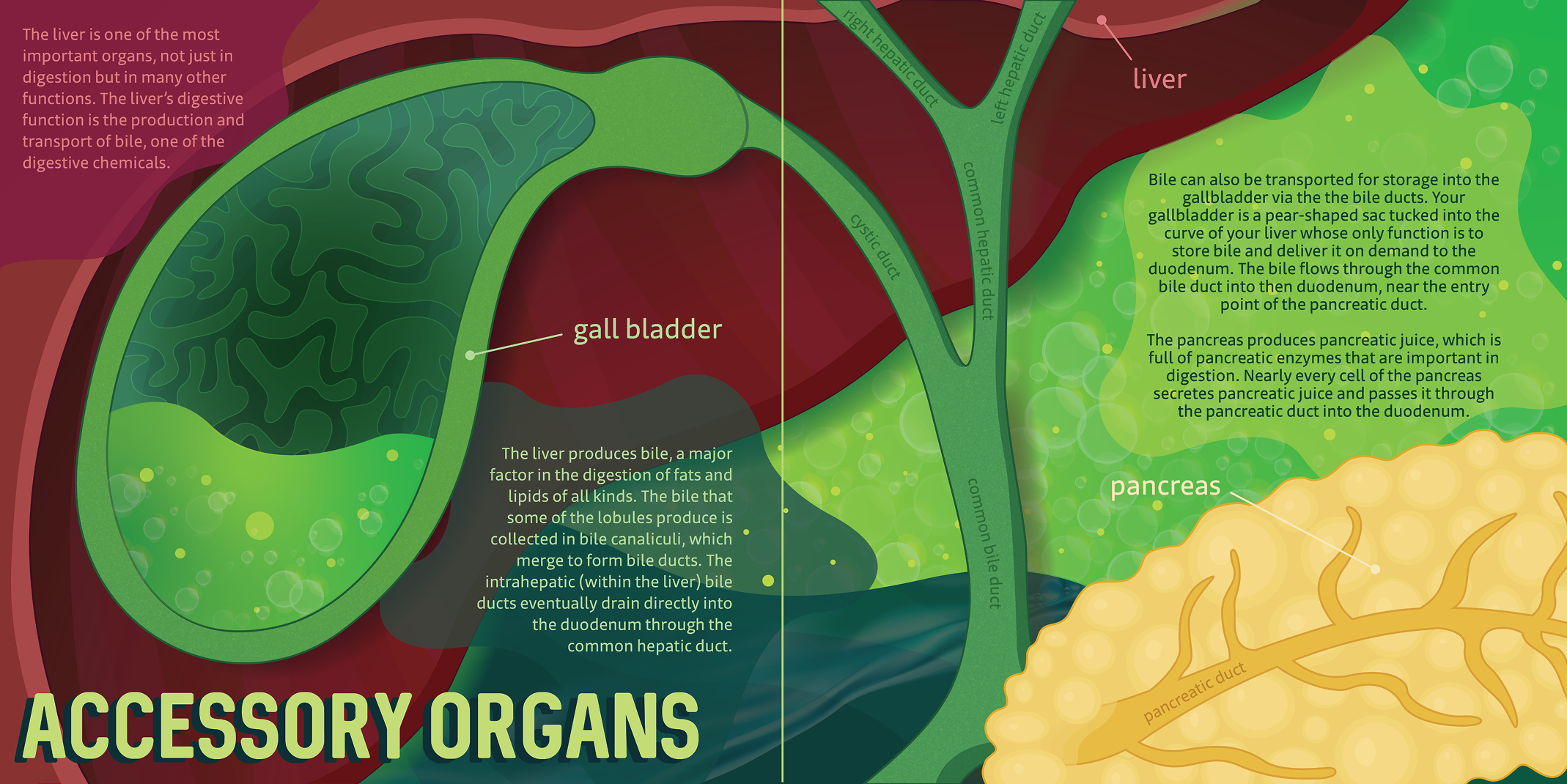 Page Spread Design